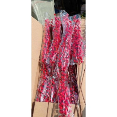 Combo 10 Cành Đào Đông 12 Nhánh 100cm Quả Đỏ Trang Trí Tết Nhà Cửa - 57.000đ 6