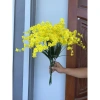 Combo 10 cành Lan Vũ Nữ Siêu Đẹp - Hoa giả trang trí, Giá ưu đãi 50.000đ