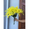 Combo 10 cành Lan Vũ Nữ Siêu Đẹp - Hoa giả trang trí, Giá ưu đãi 50.000đ 10