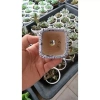 Combo 10 chậu mini trồng sen đá - Giá ưu đãi 139.000đ, giảm từ 175.140đ 3