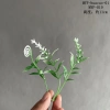 Combo 10 Cỏ điểm, Cành Điểm, Sen Đá, Lá Táo, Dương Sỉ - Trang trí Mẹt Tết 2.025 chỉ 14.500 VND 8