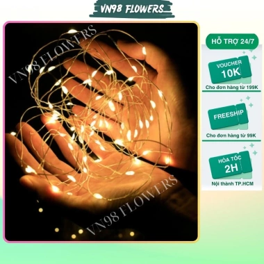 Combo 10 dây LED 1m trang trí bó hoa, cây thông Noel, mẹt tết - 25.900₫ VN98 Flowers 3 Combo 10 dây LED 1m trang trí bó hoa, cây thông Noel, mẹt tết - 25.900₫ VN98 Flowers 3