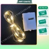 Combo 10 dây LED 1m trang trí bó hoa, cây thông Noel, mẹt tết - 25.900₫ VN98 Flowers 4