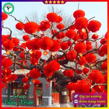 Combo 10 Đèn Lồng Đỏ Trang Trí Tết Chữ Phúc Chống Nước Giá 13.000đ