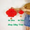 Combo 10 Đèn Lồng Đỏ Trang Trí Tết Chữ Phúc Chống Nước Giá 13.000đ 4