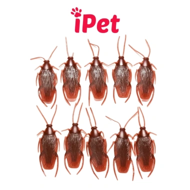 Combo 10 Đồ Chơi Gián Nhện Bọ Rết Thằn Lằn Chuột Cho Chó Mèo - Giá Ưu Đãi 5.699₫