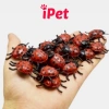 Combo 10 Đồ Chơi Gián Nhện Bọ Rết Thằn Lằn Chuột Cho Chó Mèo - Giá Ưu Đãi 5.699₫ 4