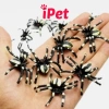 Combo 10 Đồ Chơi Gián Nhện Bọ Rết Thằn Lằn Chuột Cho Chó Mèo - Giá Ưu Đãi 5.699₫ 5