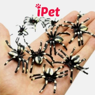 Combo 10 Đồ Chơi Gián Nhện Bọ Rết Thằn Lằn Chuột Cho Chó Mèo - Giá Ưu Đãi 5.699₫