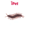 Combo 10 Đồ Chơi Gián Nhện Bọ Rết Thằn Lằn Chuột Cho Chó Mèo - Giá Ưu Đãi 5.699₫ 6