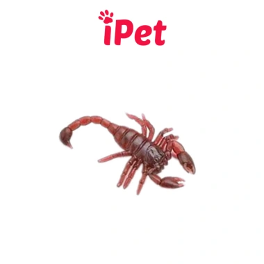 Combo 10 Đồ Chơi Gián Nhện Bọ Rết Thằn Lằn Chuột Cho Chó Mèo - Giá Ưu Đãi 5.699₫ 8 Combo 10 Đồ Chơi Gián Nhện Bọ Rết Thằn Lằn Chuột Cho Chó Mèo - Giá Ưu Đãi 5.699₫ 8