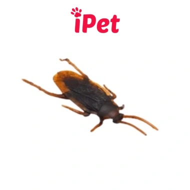 Combo 10 Đồ Chơi Gián Nhện Bọ Rết Thằn Lằn Chuột Cho Chó Mèo - Giá Ưu Đãi 5.699₫ 10 Combo 10 Đồ Chơi Gián Nhện Bọ Rết Thằn Lằn Chuột Cho Chó Mèo - Giá Ưu Đãi 5.699₫ 10