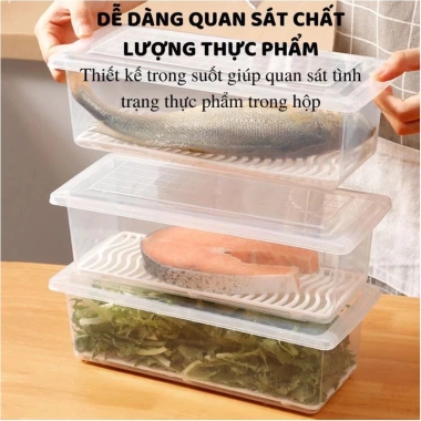 Combo 10 Hộp Đựng Thực Phẩm Nhựa PP An Toàn, Khay Ráo Nước, Dùng Tủ Lạnh – 36.000đ