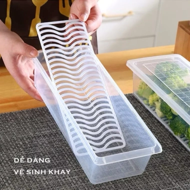 Combo 10 hộp đựng thực phẩm rau củ quả PP, khay ráo nước, tiện lợi, an toàn - 56.000₫
