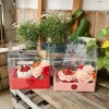 Combo 10 Hộp Mica 2 Ngăn Đựng Bánh Hoa - Set Quà Handmade Màu Hồng Đỏ Vàng Trắng Chữ LOVE - Giá ưu đãi 259.000 VND 9