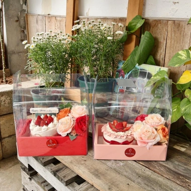 Combo 10 Hộp Mica 2 Ngăn Đựng Bánh Hoa - Set Quà Handmade Màu Hồng Đỏ Vàng Trắng Chữ LOVE - Giá ưu đãi 259.000 VND