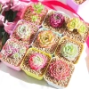 Combo 10 sen đá mini mix ngẫu nhiên không trùng Đà Lạt thuần khí hậu 25.900 VND 6