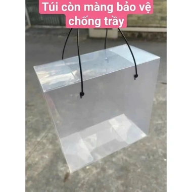 Combo 10 Túi Mica Trong Suốt Quai Trắng - Giỏ Quà Tết, Giá ưu đãi 24.000đ