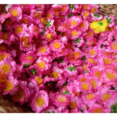 Combo 1kg Hoa Mai Giả Hoa Đào Giả - Giá chỉ 50.000 VNĐ, hương thơm tự nhiên
