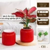 Combo 2 Chậu Thủy Sinh Mini cho Cây Cảnh Để Bàn Giá Chỉ 21.000 VNĐ