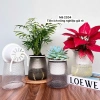 Combo 2 Chậu Thủy Sinh Mini cho Cây Cảnh Để Bàn Giá Chỉ 21.000 VNĐ 2