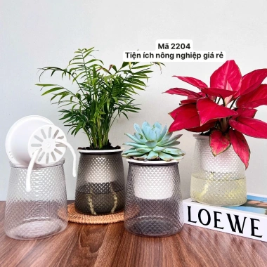 Combo 2 Chậu Thủy Sinh Mini cho Cây Cảnh Để Bàn Giá Chỉ 21.000 VNĐ 2