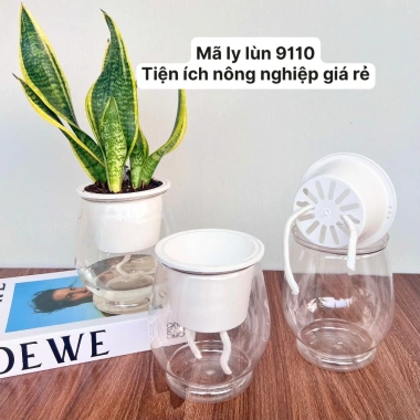 Combo 2 Chậu Thủy Sinh Mini cho Cây Cảnh Để Bàn Giá Chỉ 21.000 VNĐ 4