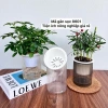 Combo 2 Chậu Thủy Sinh Mini cho Cây Cảnh Để Bàn Giá Chỉ 21.000 VNĐ 8