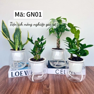 Combo 2 Chậu Thủy Sinh Mini cho Cây Cảnh Để Bàn Giá Chỉ 21.000 VNĐ 9