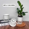 Combo 2 Chậu Thủy Sinh Mini cho Cây Cảnh Để Bàn Giá Chỉ 21.000 VNĐ 10