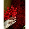 Combo 200-100-50 Đào Đông Trang Trí Noel Cây Thông + Phụ Kiện Decor Tết 360.000₫ 3