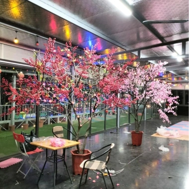 Combo 200-100-50 Đào Đông Trang Trí Noel Cây Thông + Phụ Kiện Decor Tết 360.000₫ 8