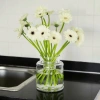 Combo 3 Dụng Cụ Cắm Hoa Nhựa Trong Suốt Định Hình Cành, Lỗ Xoay Đa Cỡ, Cố Định Thân Cành - Giá Ưu Đãi 14.700₫ 4
