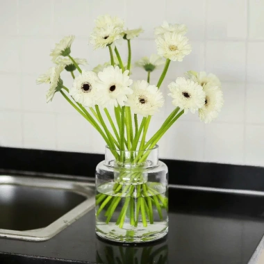 Combo 3 Dụng Cụ Cắm Hoa Nhựa Trong Suốt Định Hình Cành, Lỗ Xoay Đa Cỡ, Cố Định Thân Cành - Giá Ưu Đãi 14.700₫ 4