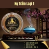 Combo 3 Hộp Nhang Nụ Trầm Loại 1 - Xông Nhà Lọc Không Khí, Thiền Định, Quà Tặng