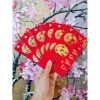 Combo 30 bao lì xì vỏ nhung đỏ in chữ nổi cỡ to, chúc tài lộc may mắn năm mới 2