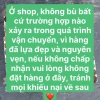 Combo 30 sen đá mini 3-4cm - Tặng đất, chỉ 150.000 VNĐ, trang trí cây cảnh 5