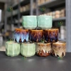 Combo 4-6-12 Cái Chậu Mini Men Hoả Biến 7-9cm Giá Rẻ 94.000 VNĐ - Your Farm 6