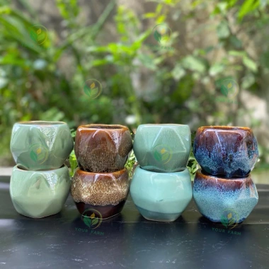 Combo 4-6-12 Cái Chậu Mini Men Hoả Biến 7-9cm Giá Rẻ 94.000 VNĐ - Your Farm 7