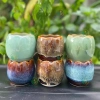 Combo 4-6-12 Cái Chậu Mini Men Hoả Biến 7-9cm Giá Rẻ 94.000 VNĐ - Your Farm 8