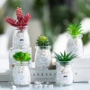Combo 4 hũ thủy tinh trồng cây mini - Giá chỉ 25.000₫, tạo không gian xanh nhỏ 3