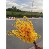 Combo 5-10 cành hoa mai, hoa đào dài 95cm - Trang trí Tết giá ưu đãi 22.000đ 4