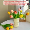 Combo 5-7-9 bông Tulip cao su non + bình xoắn ốc nhựa - Trang trí nhà cửa, hoa lụa Thanh Tú, giảm còn 60.000₫ 4
