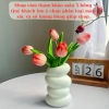 Combo 5-7-9 bông Tulip cao su non + bình xoắn ốc nhựa - Trang trí nhà cửa, hoa lụa Thanh Tú, giảm còn 60.000₫ 5