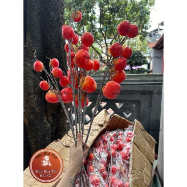 Combo 5 Cành Hồng 7 Quả Đẹp Trang Trí Tết Trung Thu Lễ Hội Giá Ưu Đãi 165k 5 Combo 5 Cành Hồng 7 Quả Đẹp Trang Trí Tết Trung Thu Lễ Hội Giá Ưu Đãi 165k 5