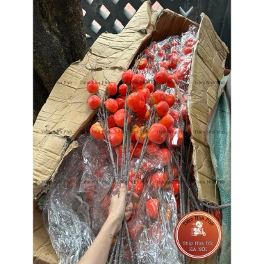 Combo 5 Cành Hồng 7 Quả Đẹp Trang Trí Tết Trung Thu Lễ Hội Giá Ưu Đãi 165k