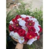 Combo 50-100 bông hoa lụa mix tông màu - Hoa lụa cao cấp, giá chỉ 97.020 VND 6