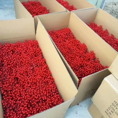 Combo 50-100 Nhánh Đào Đông Trang Trí Tết - Quả To Đẹp, Giá chỉ 110.000 VNĐ