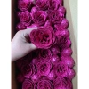 Combo 50 bông Hoa Hồng Nhũ - Hoa Nhũ Kim Tuyến Đỏ Cao Cấp, Bó Hoa Giá 109.000₫ 2