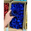 Combo 50 bông Hoa Hồng Nhũ - Hoa Nhũ Kim Tuyến Đỏ Cao Cấp, Bó Hoa Giá 109.000₫ 8